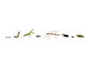 Bug Parade Art