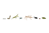 Bug Parade Art