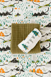 National Parks Essential Bundle